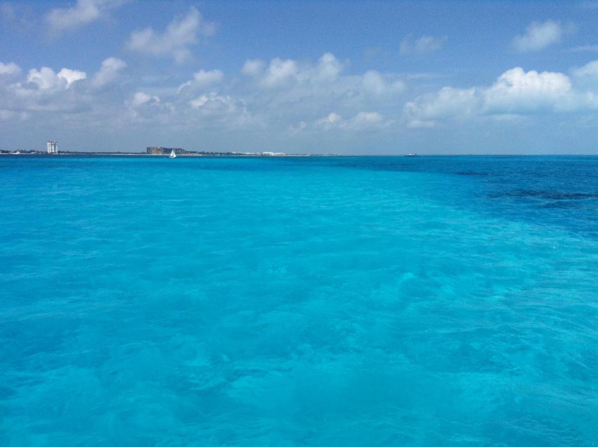 Oceandreams 3br 2ba - New - Fantastic Views Hébergement de vacances *